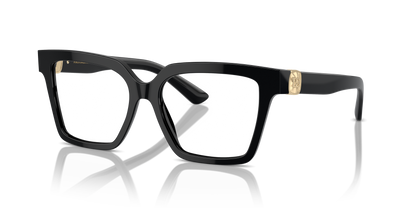 DOLCE &amp; GABBANA DG3395 501 53