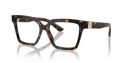 DOLCE &amp; GABBANA DG3395 502 53