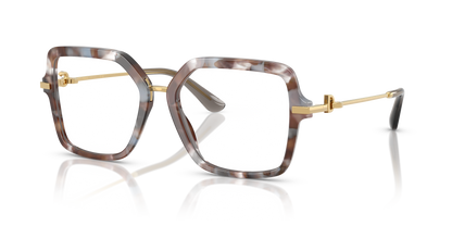 DOLCE &amp; GABBANA DG3396 3445 55