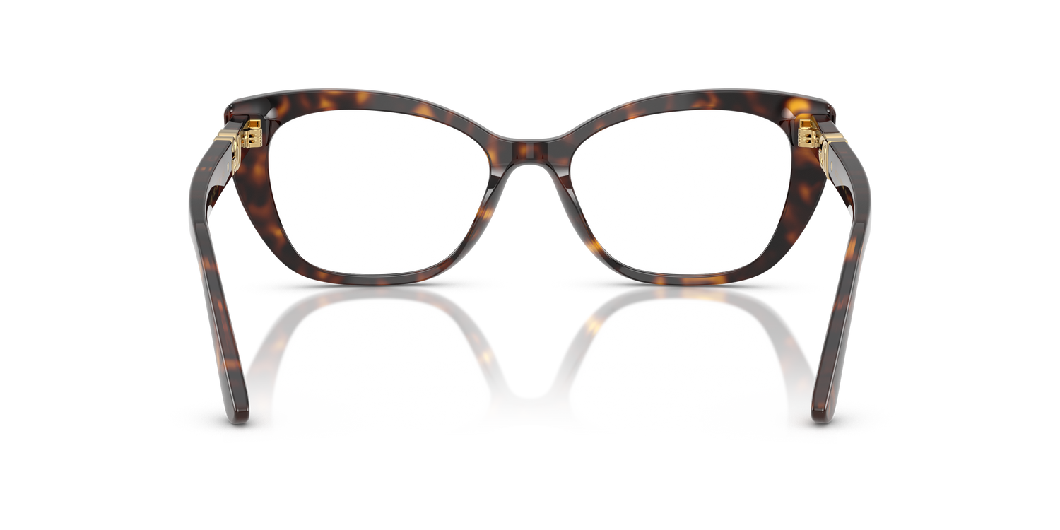DOLCE &amp; GABBANA DG3398 502 54