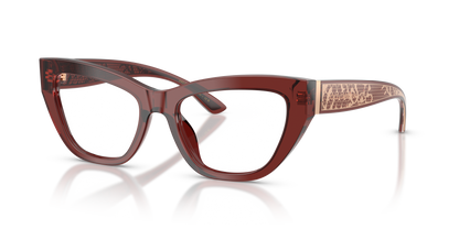 DOLCE &amp; GABBANA DG3412 3045 51