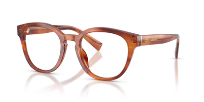 DOLCE &amp; GABBANA DG3421 3221 52