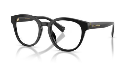 DOLCE &amp; GABBANA DG3421 501 52