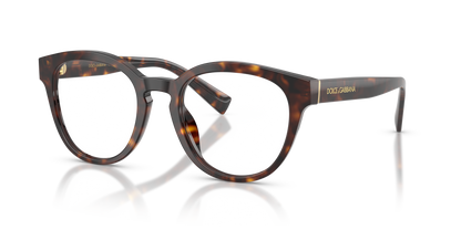 DOLCE &amp; GABBANA DG3421 502 52