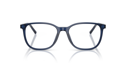 DOLCE &amp; GABBANA DG3426 3009 53