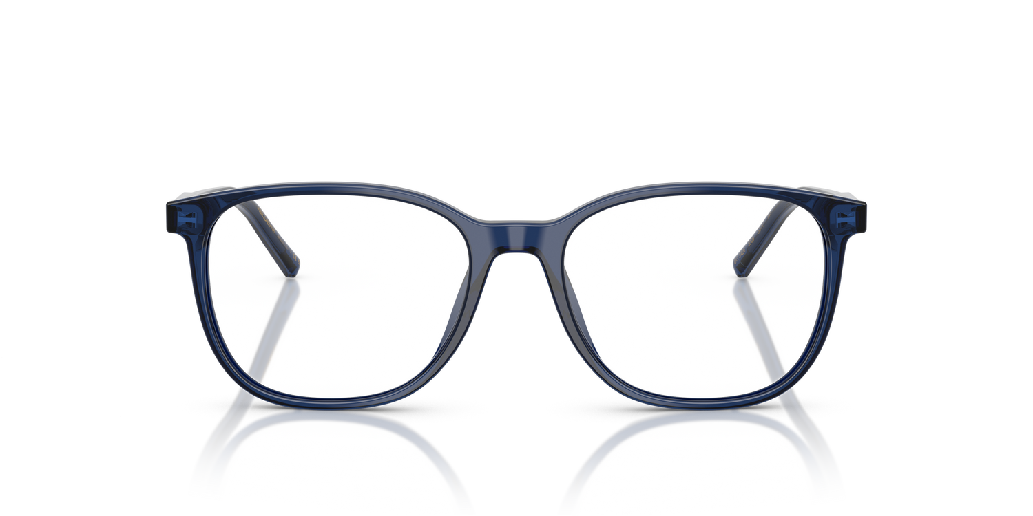 DOLCE &amp; GABBANA DG3426 3009 51
