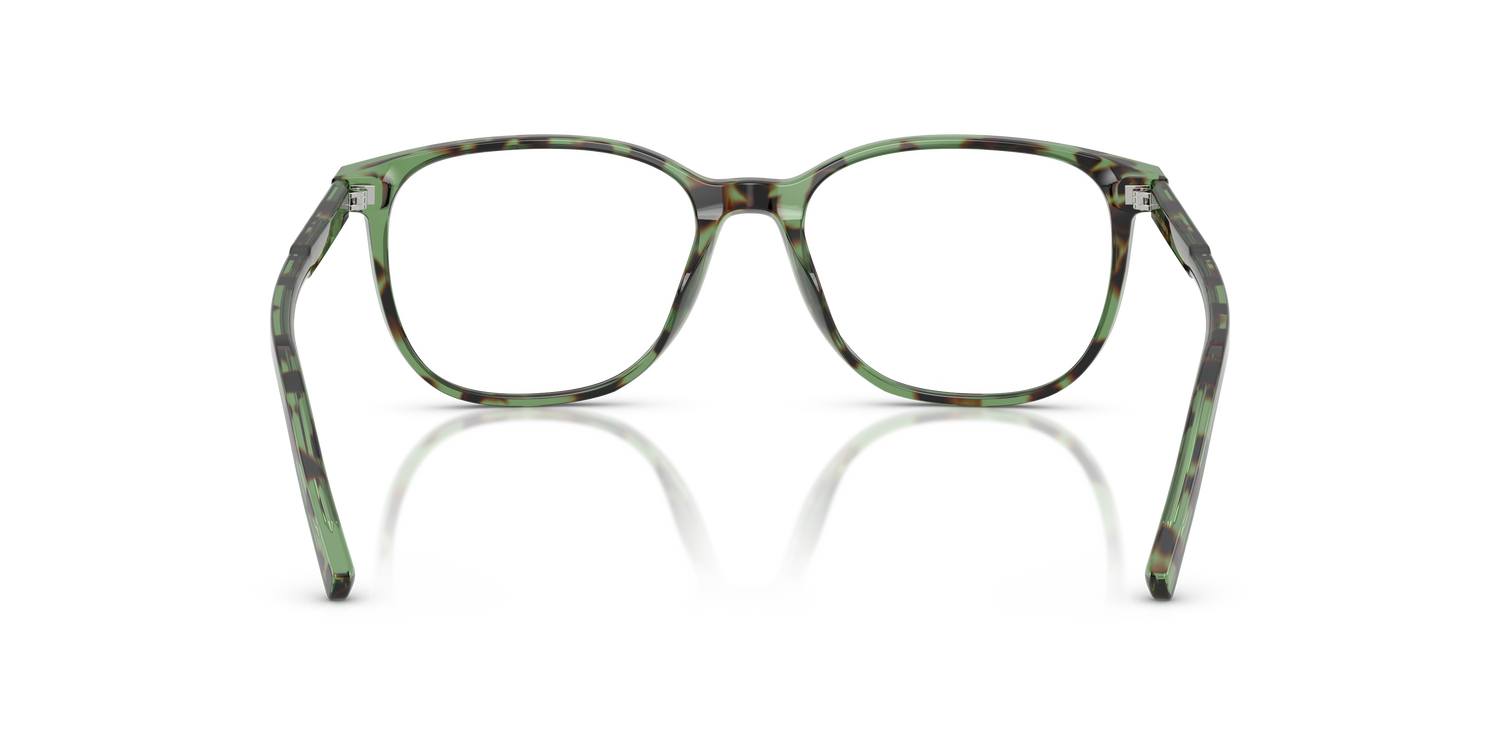 DOLCE &amp; GABBANA DG3426 3439 53