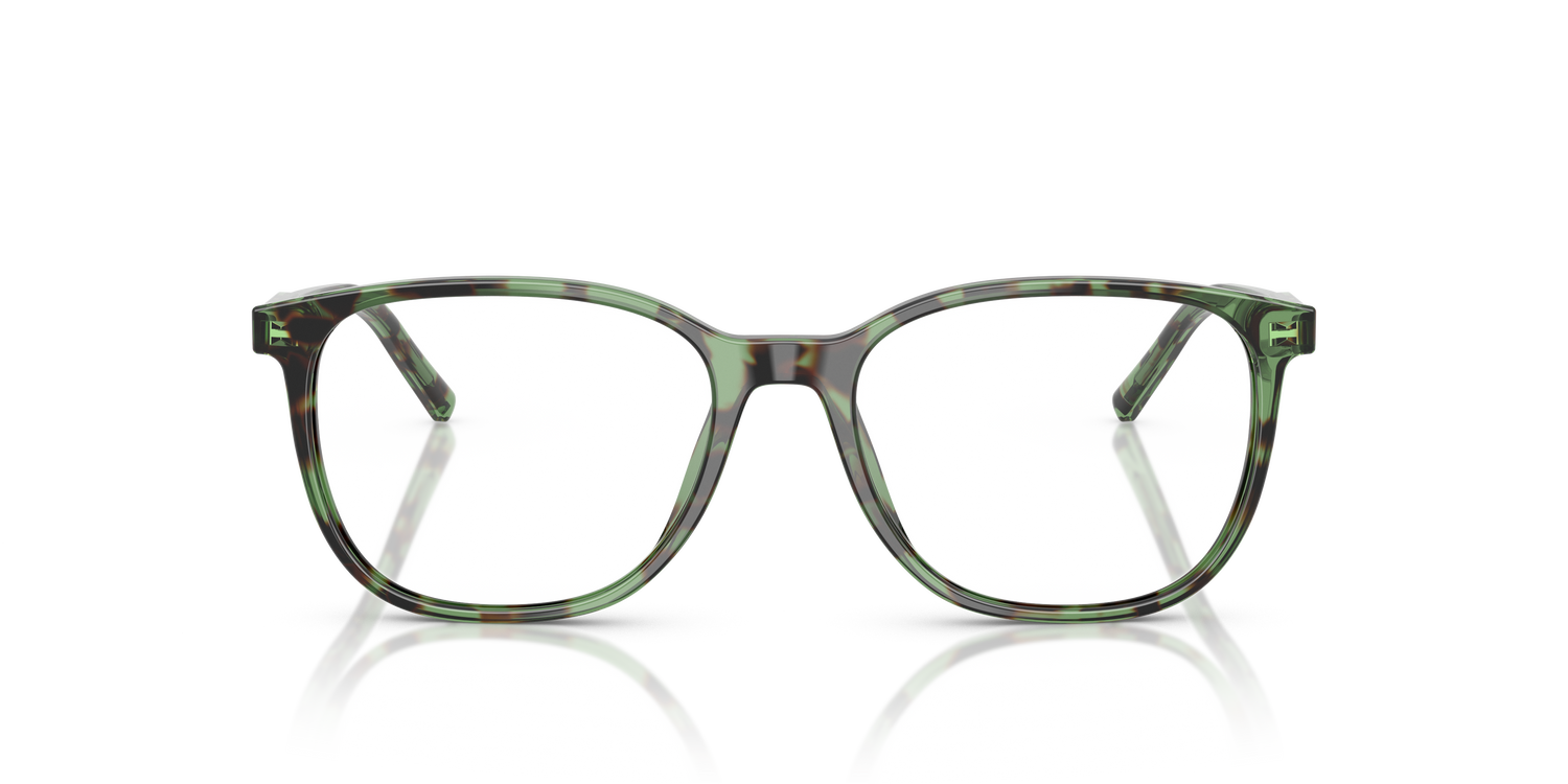 DOLCE &amp; GABBANA DG3426 3439 53