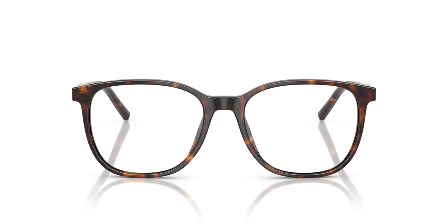 DOLCE &amp; GABBANA DG3426 502 53
