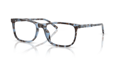 DOLCE &amp; GABBANA DG3427 3392 53