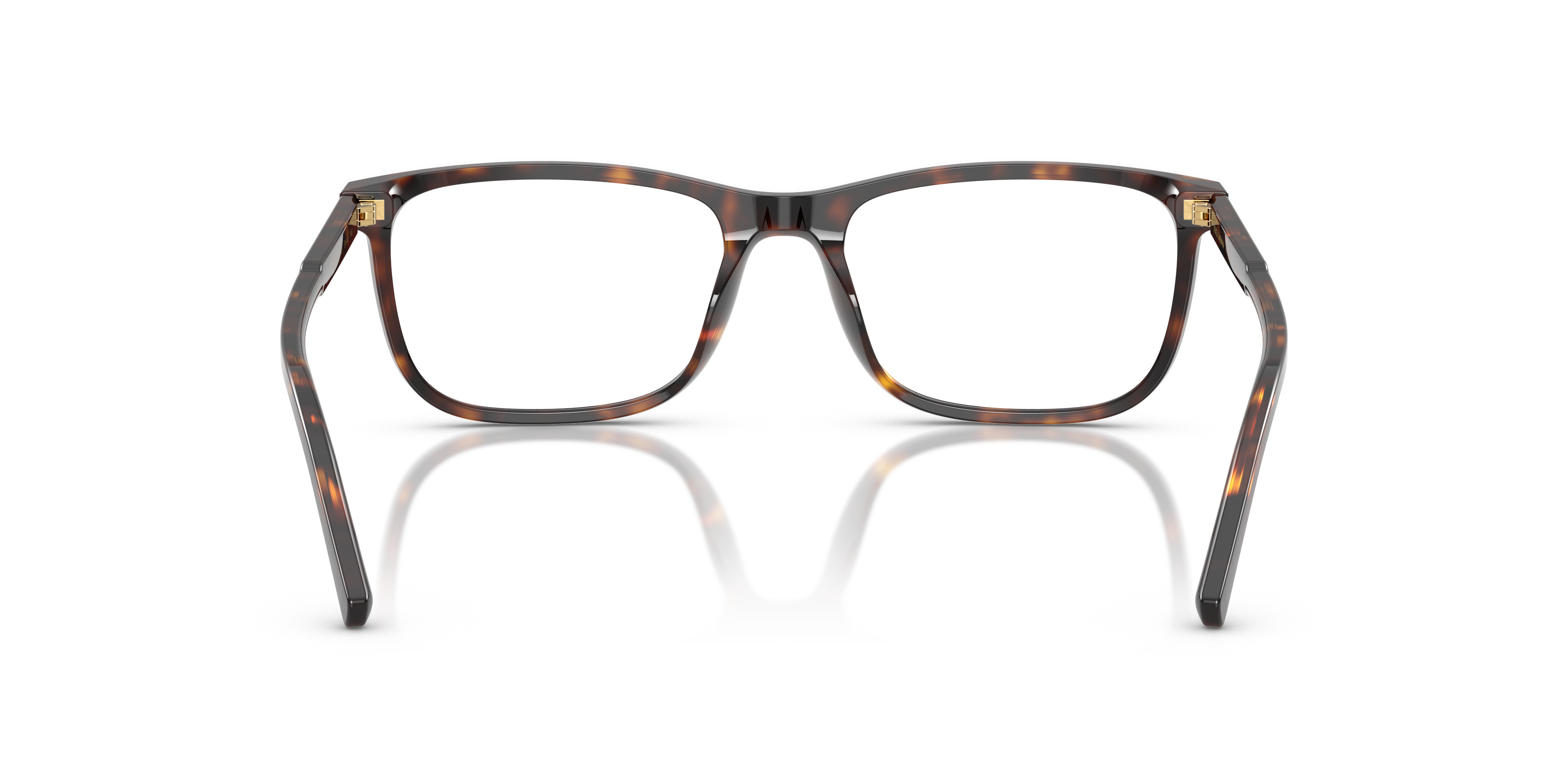 DOLCE &amp; GABBANA DG3427 502 55