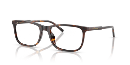 DOLCE &amp; GABBANA DG3427 502 55