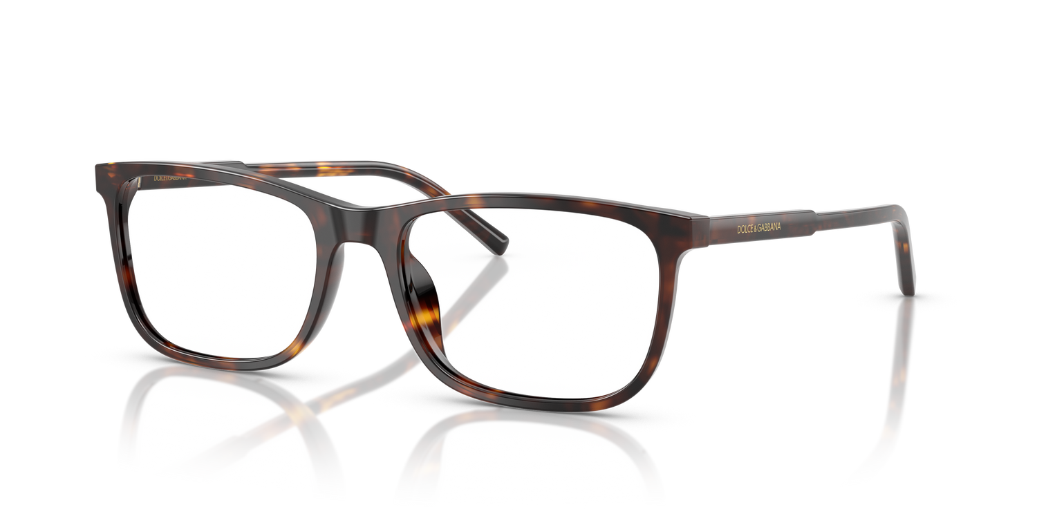 DOLCE &amp; GABBANA DG3427 502 53