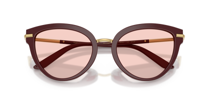DOLCE &amp; GABBANA DG4492 3091P5 55