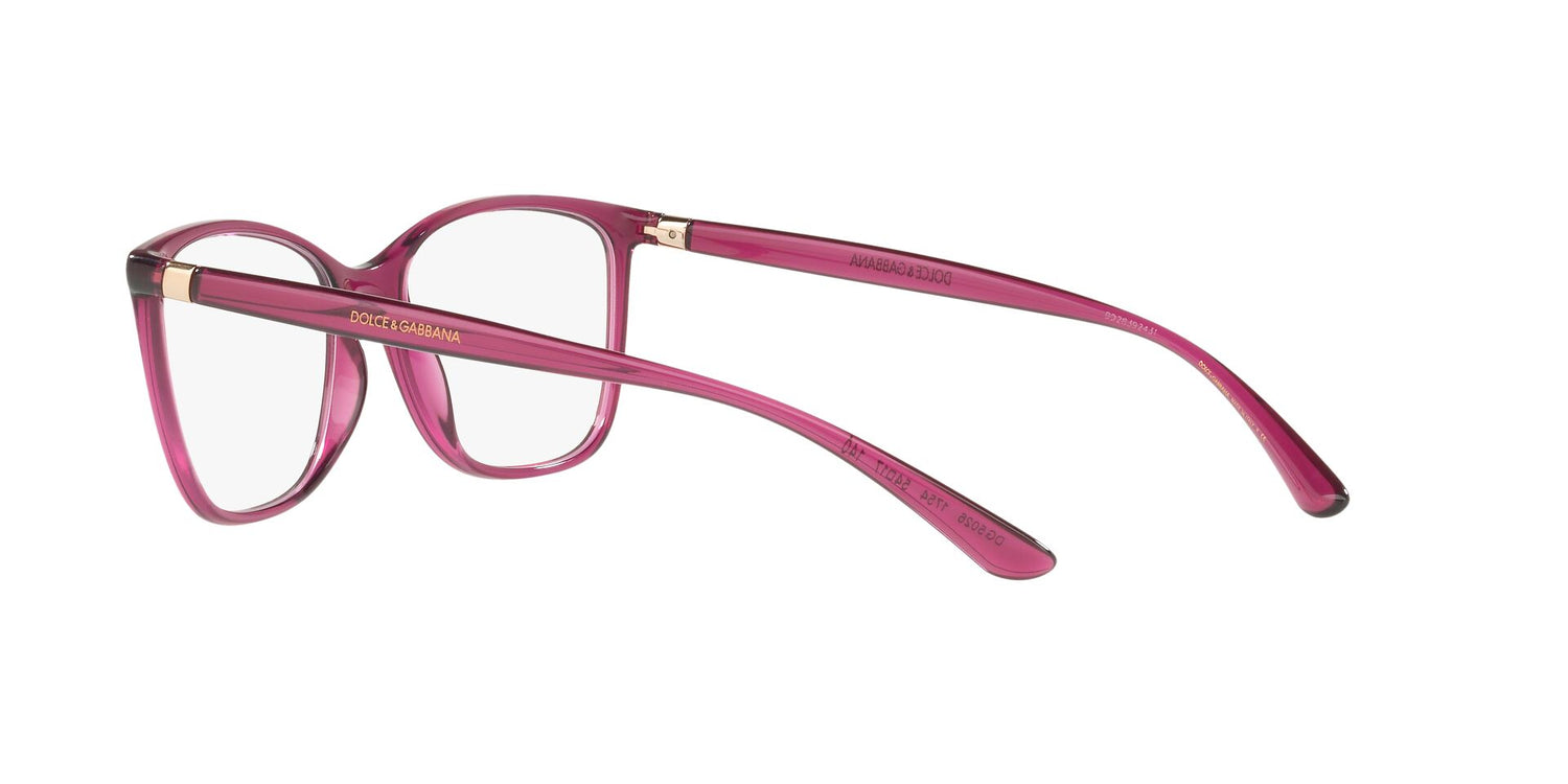 DOLCE &amp; GABBANA DG5026 1754 54