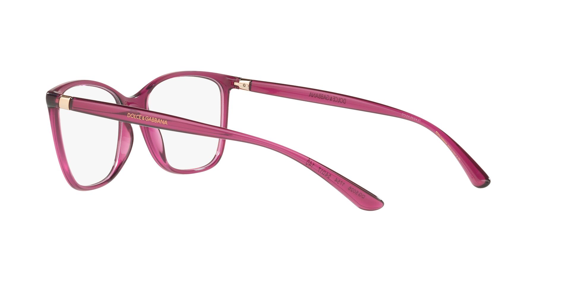 DOLCE &amp; GABBANA DG5026 1754 54