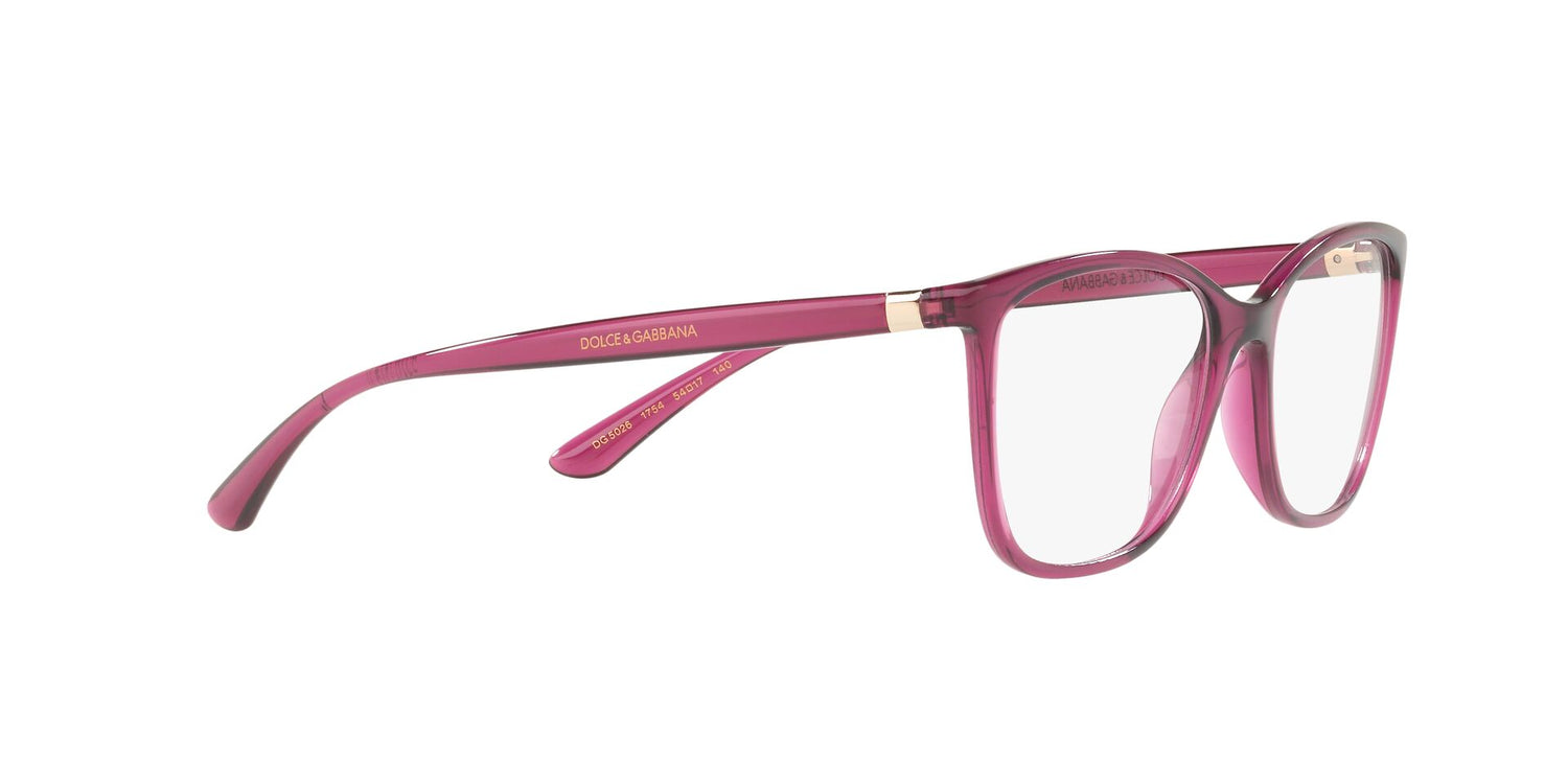 DOLCE &amp; GABBANA DG5026 1754 54