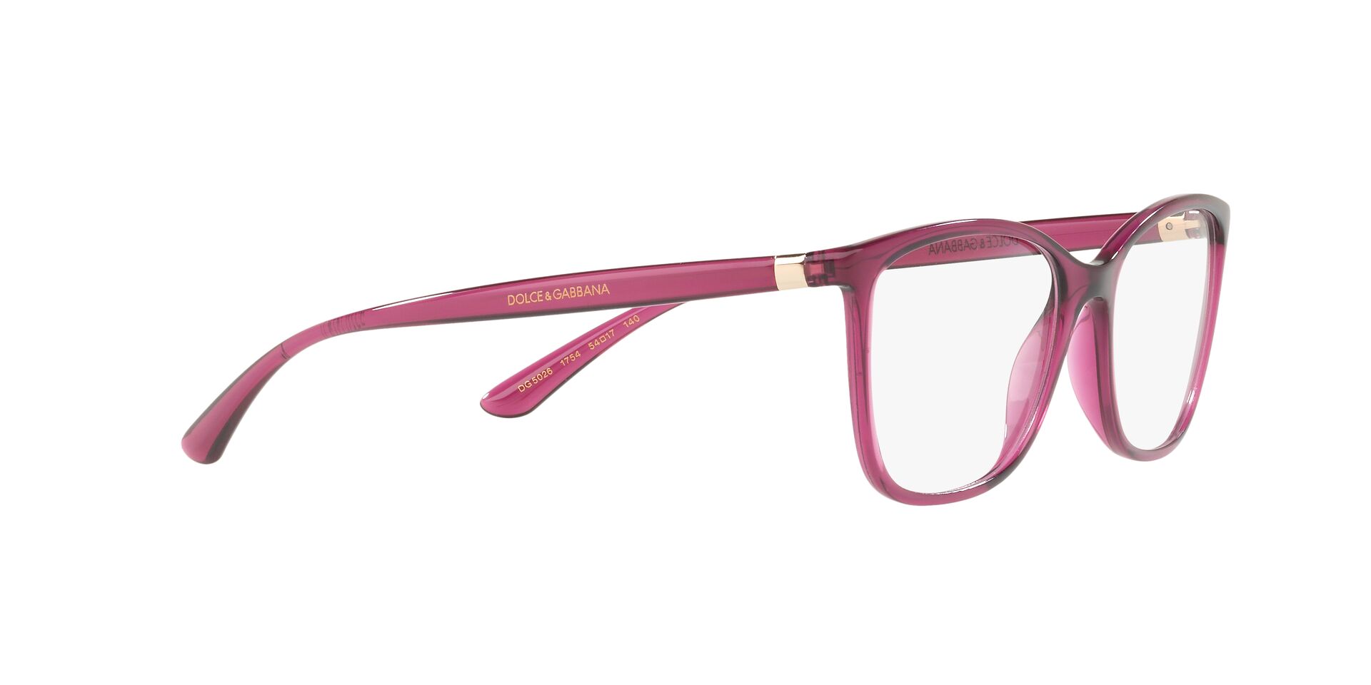 DOLCE &amp; GABBANA DG5026 1754 54