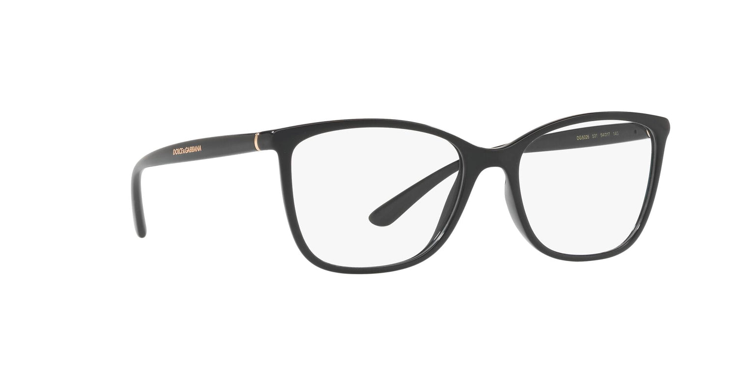 DOLCE &amp; GABBANA DG5026 501 54