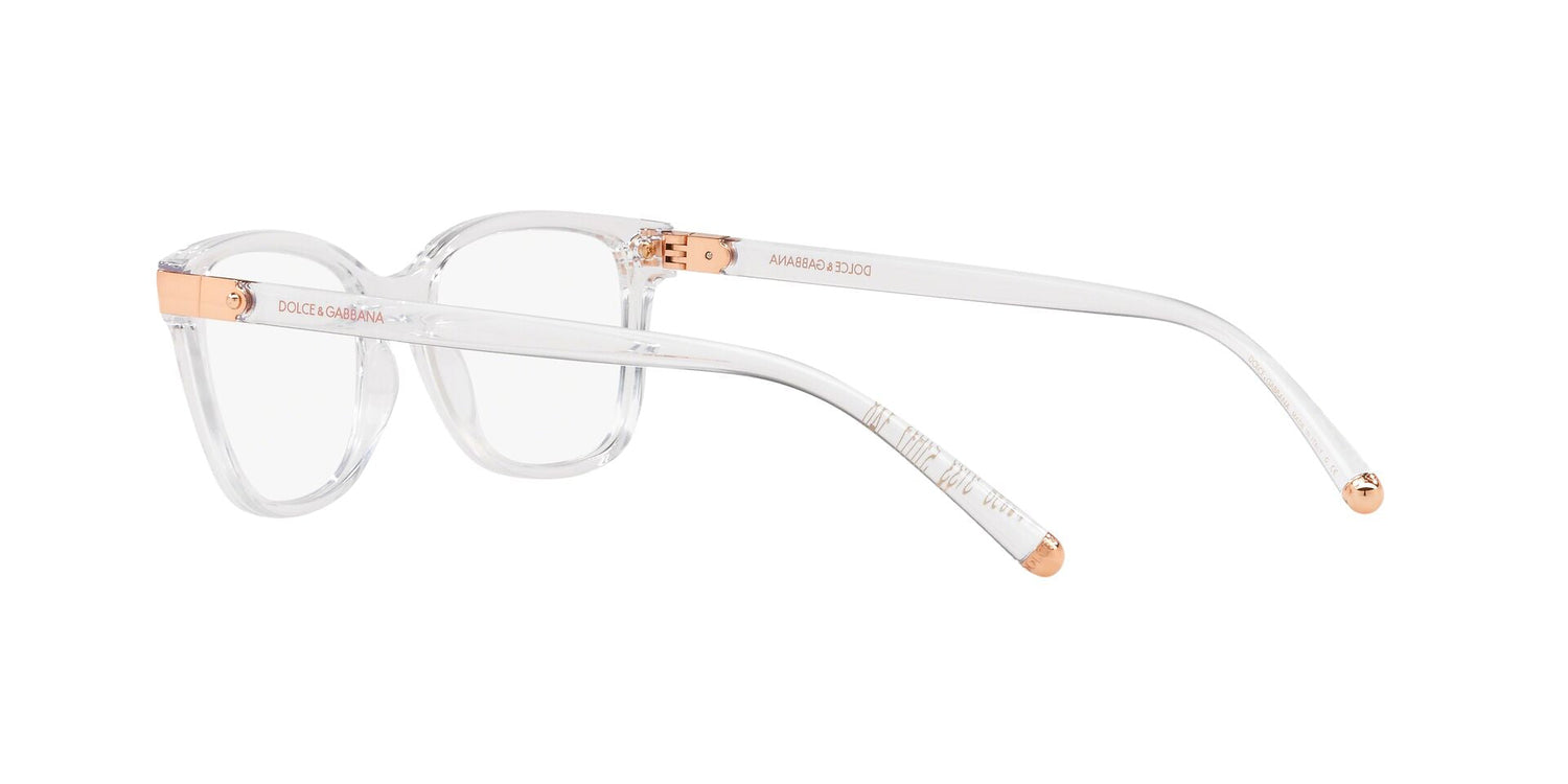 DOLCE &amp; GABBANA DG5036 3133 53