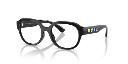 DOLCE &amp; GABBANA DX5004U 501 48