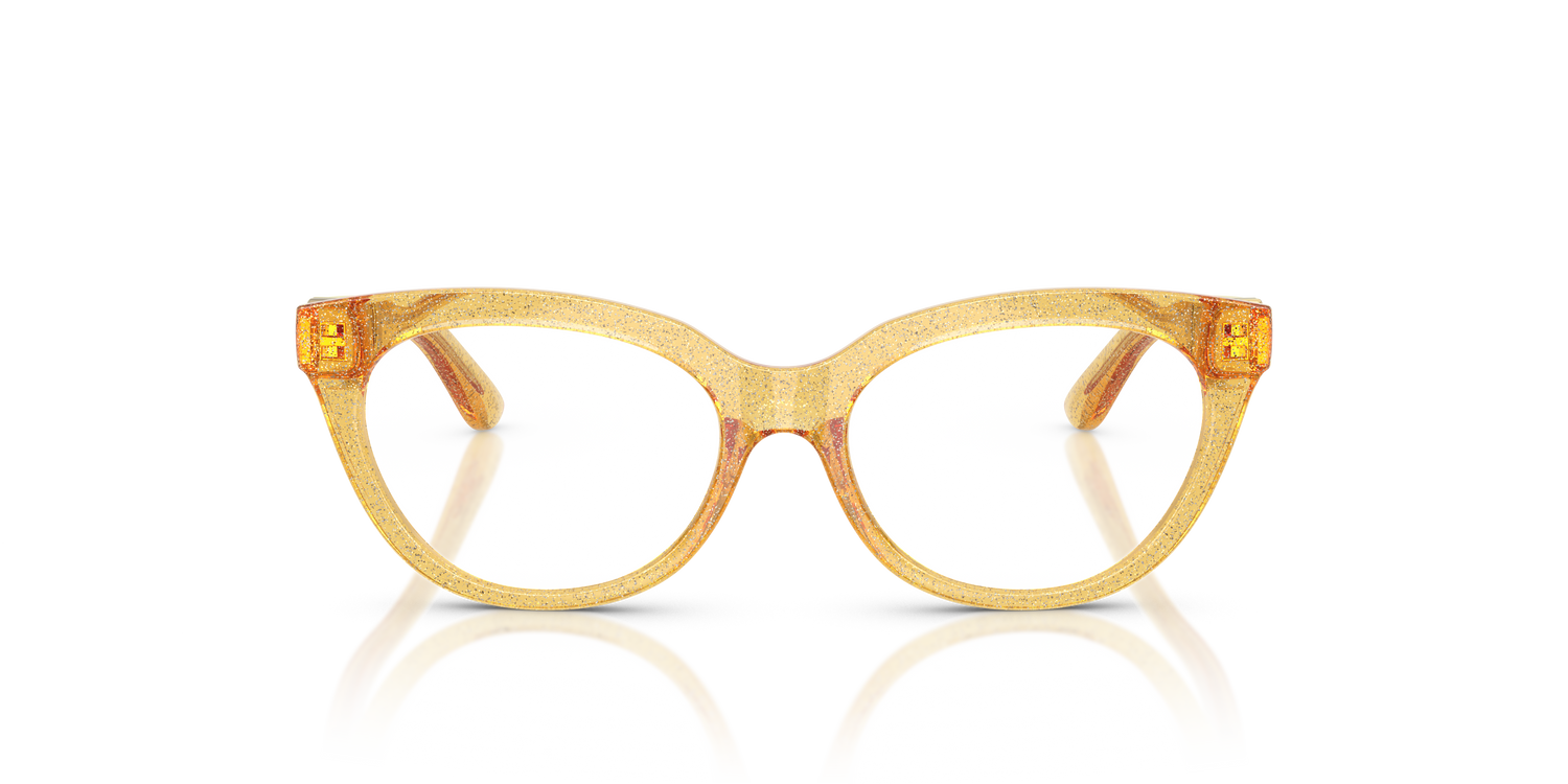 DOLCE &amp; GABBANA DX5005U 3455 48