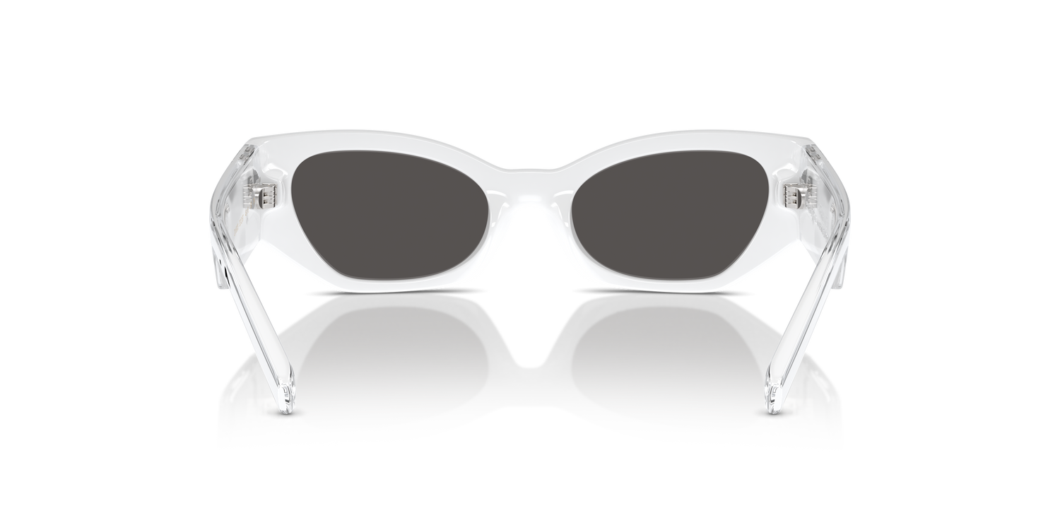 DOLCE &amp; GABBANA DX6003 331287 48