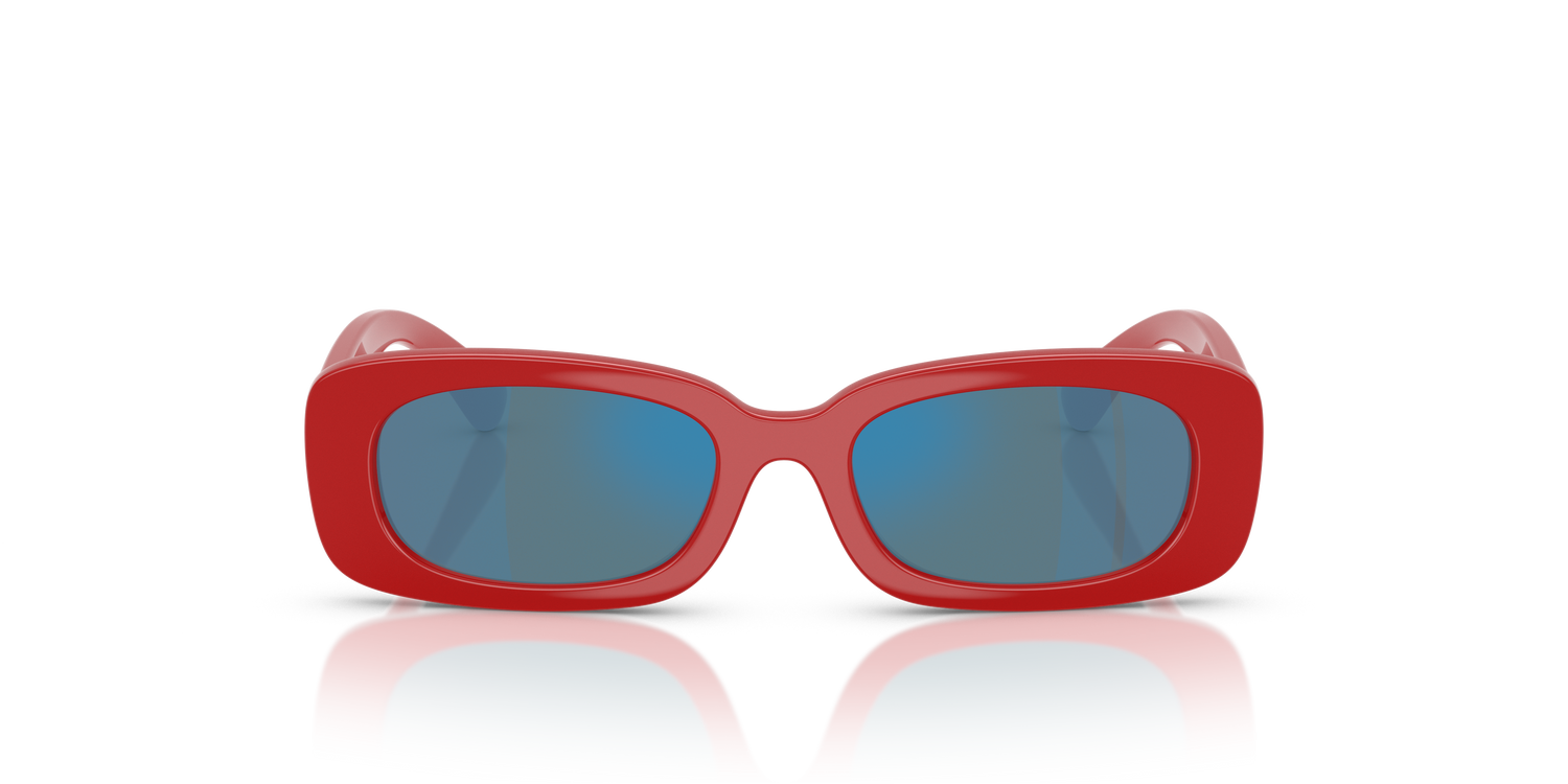 DOLCE &amp; GABBANA DX6006U 308825 46