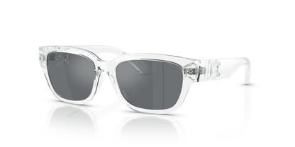 DOLCE &amp; GABBANA DX6009 31336G 50
