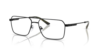 EMPORIO ARMANI EA1166 3001 55