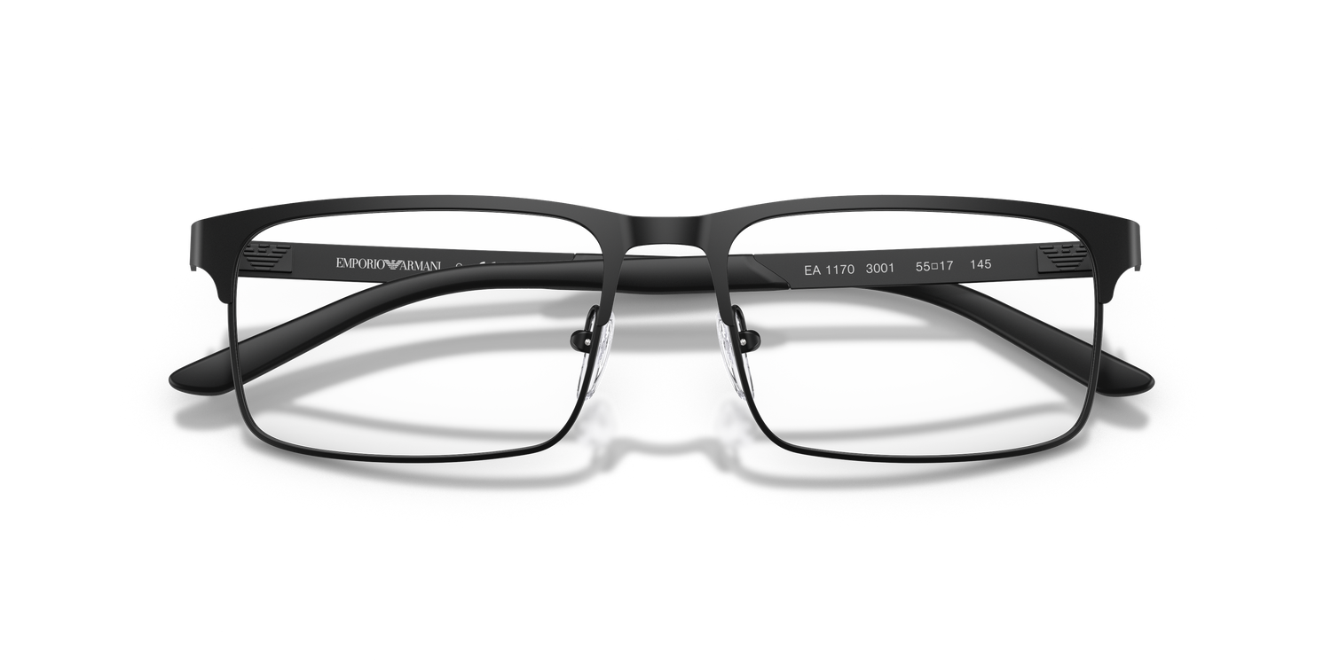EMPORIO ARMANI EA1170 3001 55