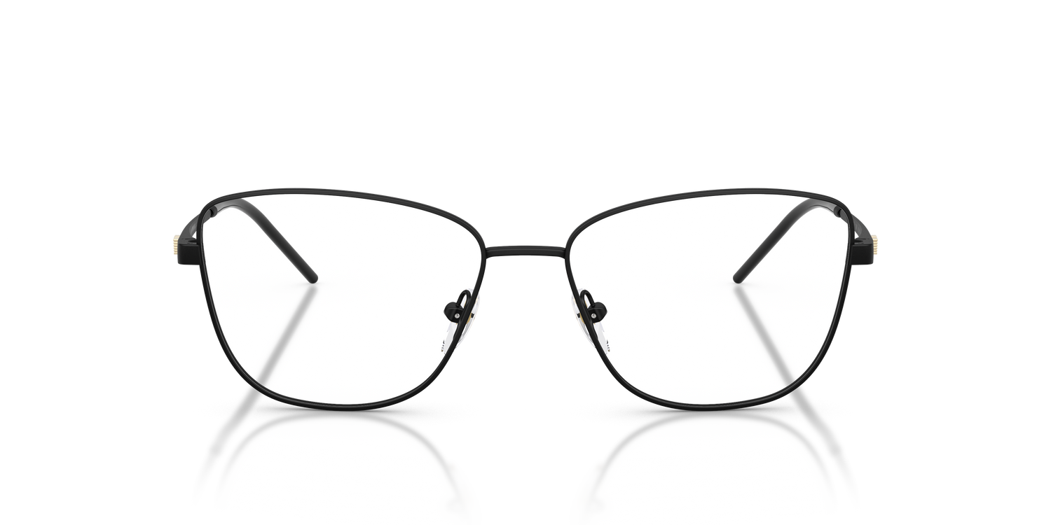EMPORIO ARMANI EA1172 3001 55
