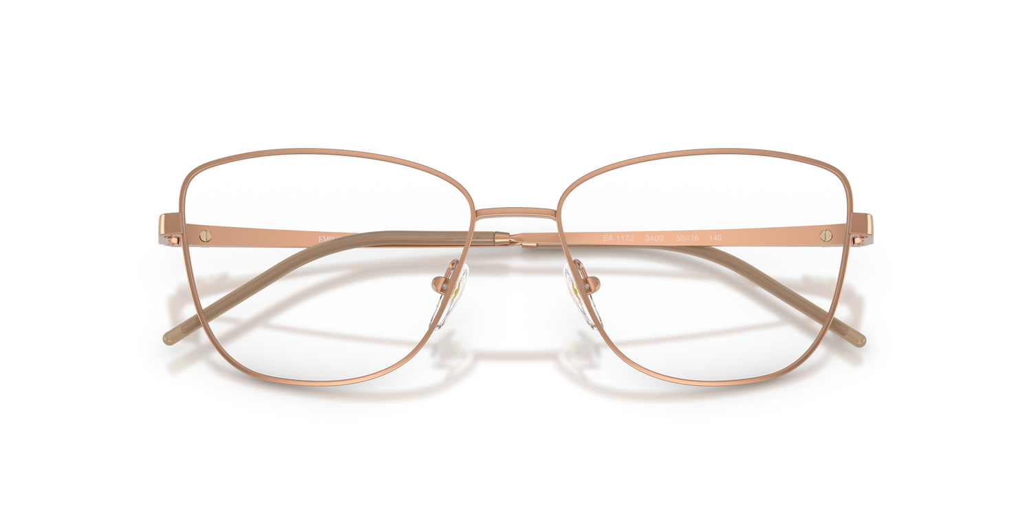 EMPORIO ARMANI EA1172 3400 53