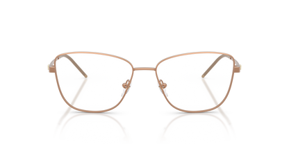 EMPORIO ARMANI EA1172 3400 53