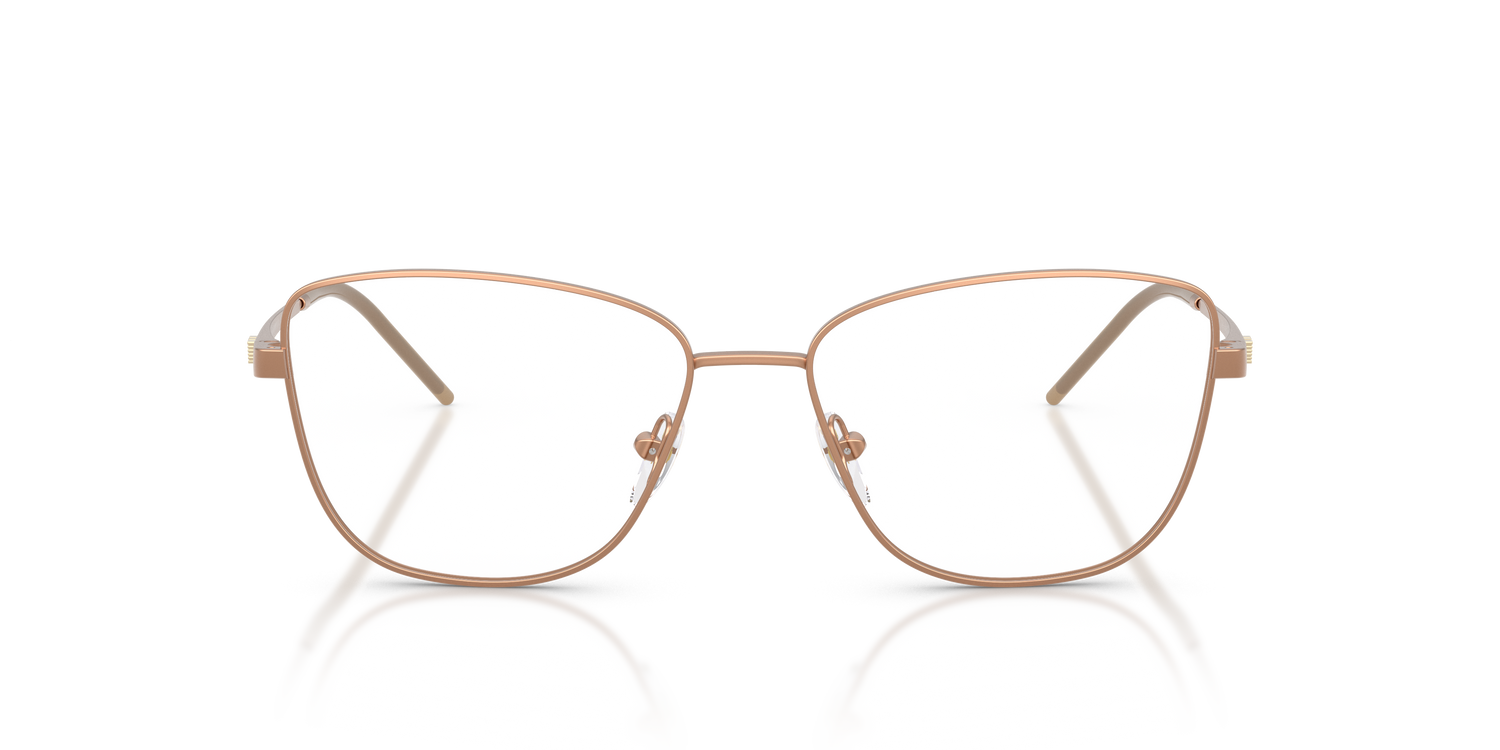 EMPORIO ARMANI EA1172 3400 55
