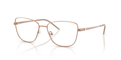 EMPORIO ARMANI EA1172 3400 55