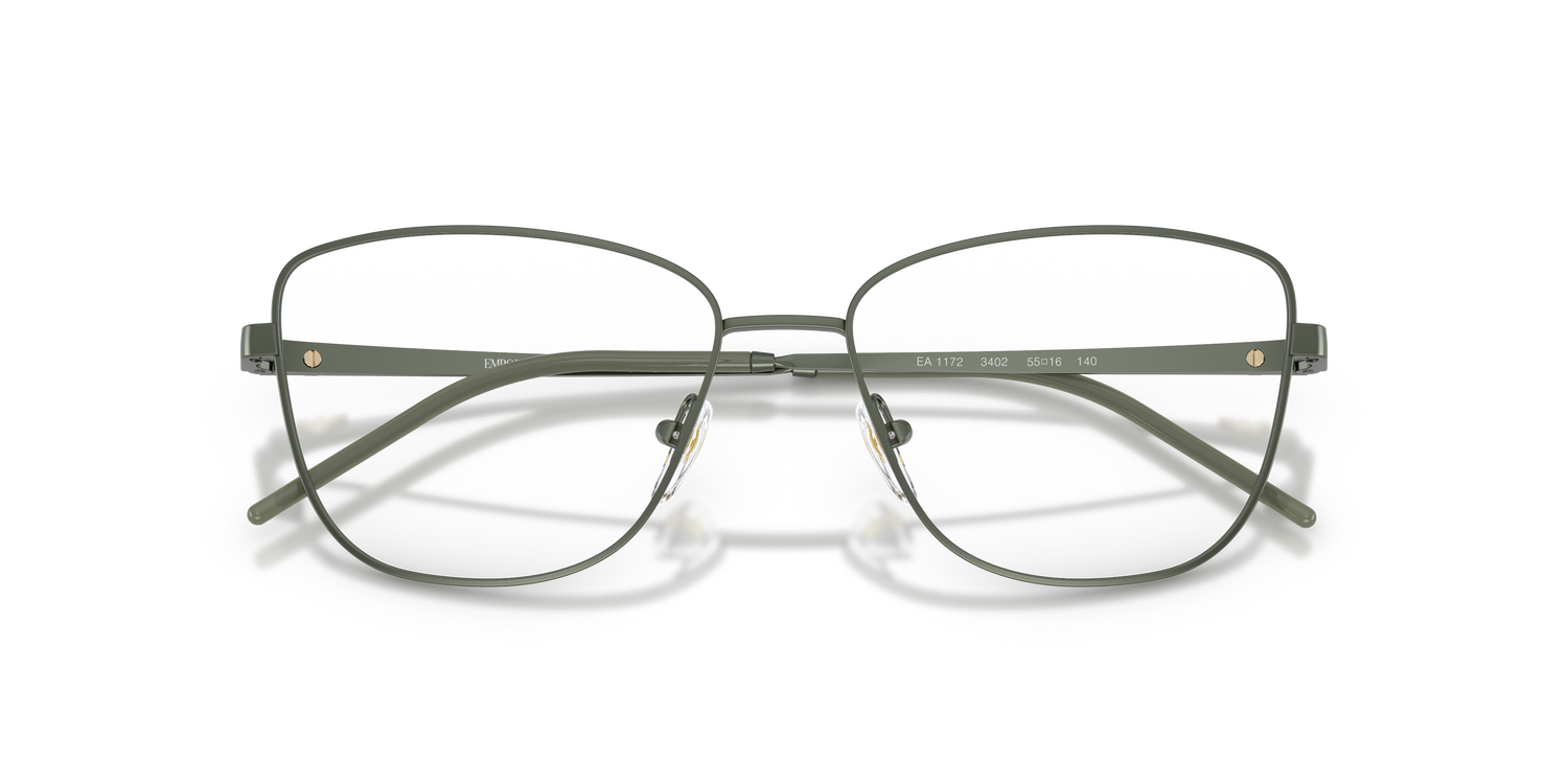 EMPORIO ARMANI EA1172 3402 55