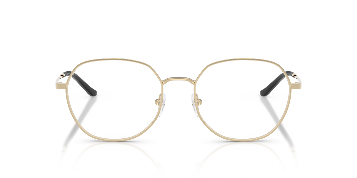 EMPORIO ARMANI EA1174D 3013 54