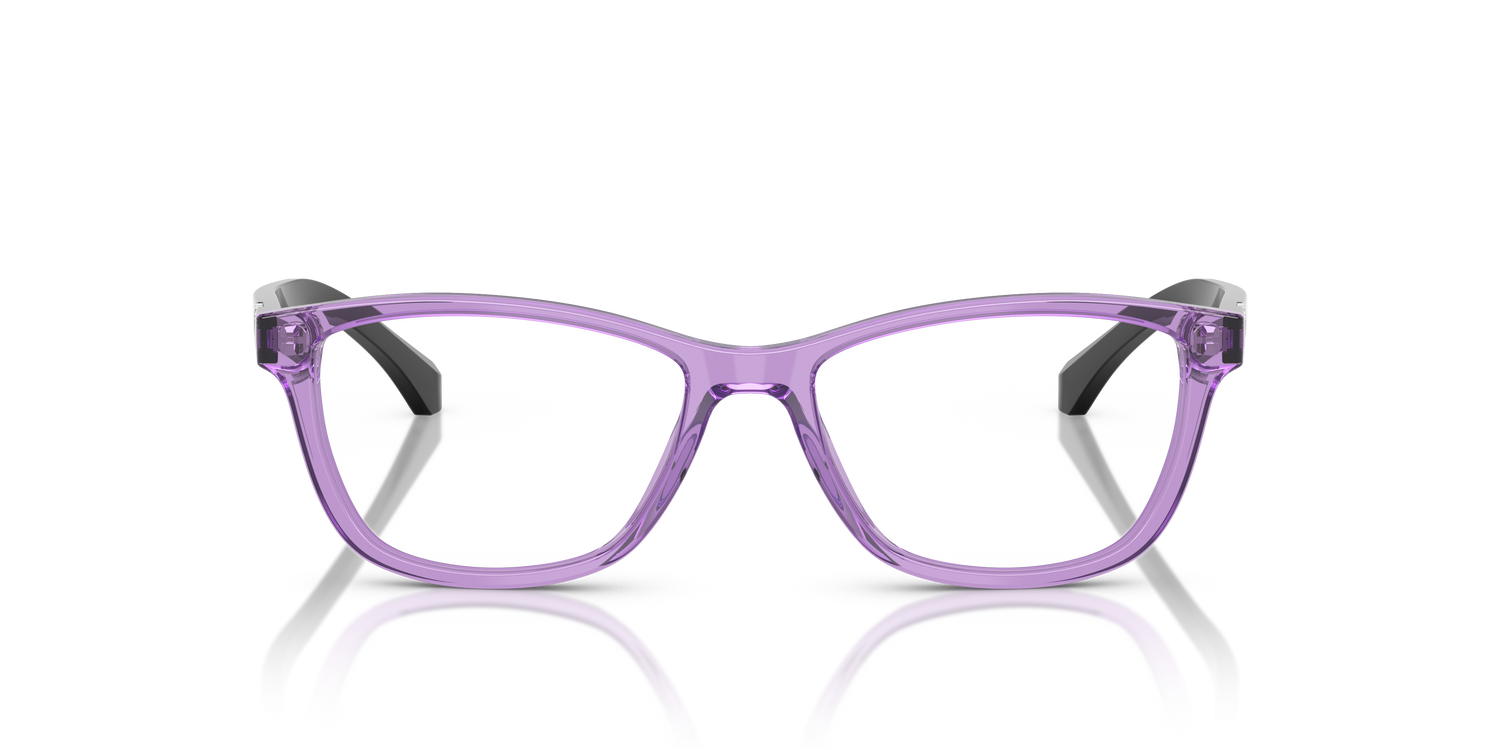 EMPORIO ARMANI EA3099 6197 54