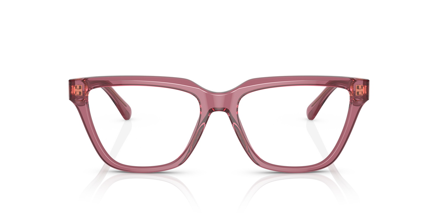 EMPORIO ARMANI EA3208 5544 54