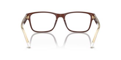 EMPORIO ARMANI EA3239 6095 55
