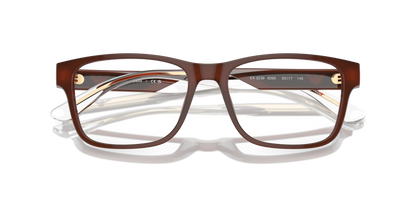 EMPORIO ARMANI EA3239 6095 55