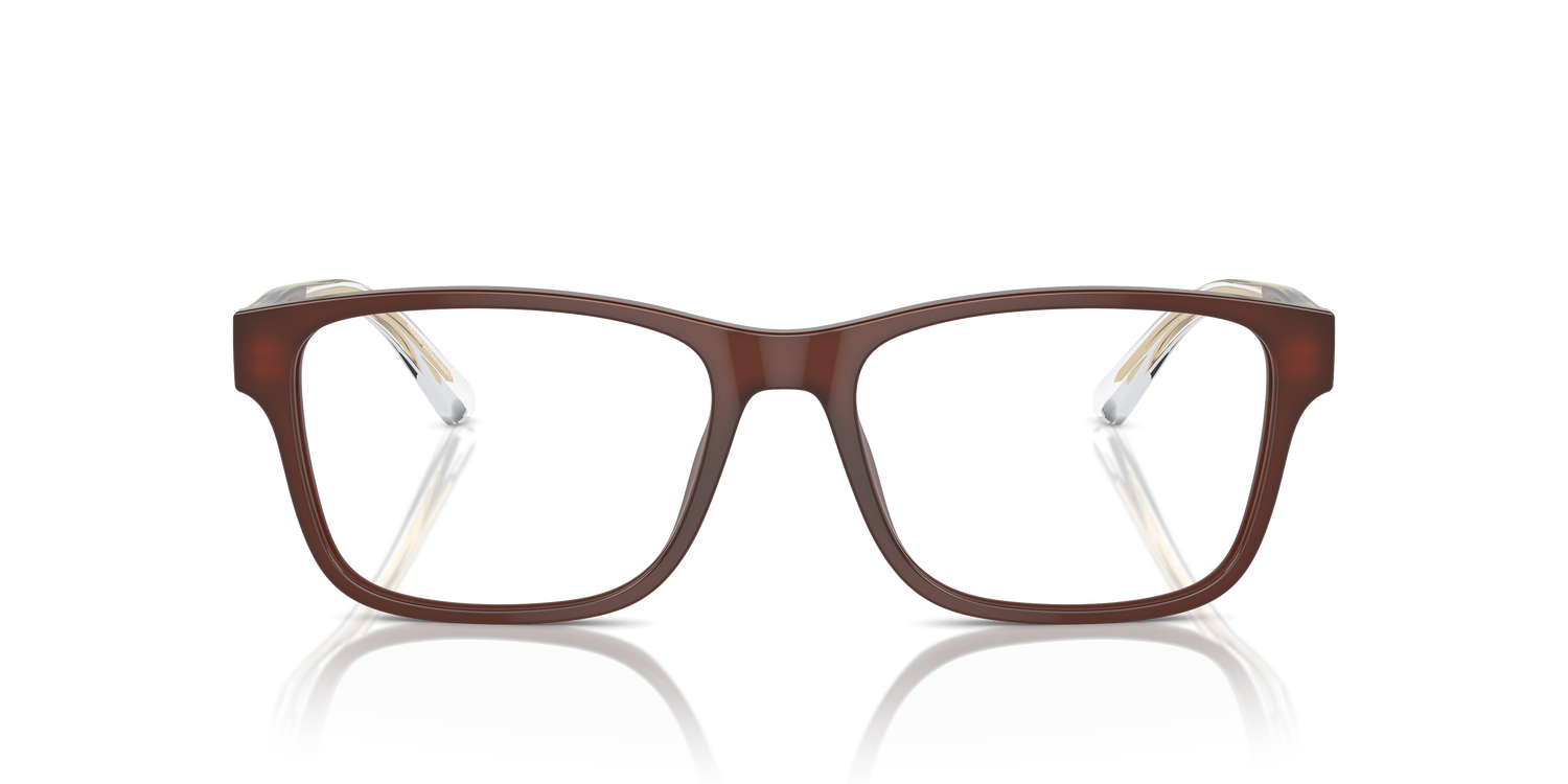 EMPORIO ARMANI EA3239 6095 55