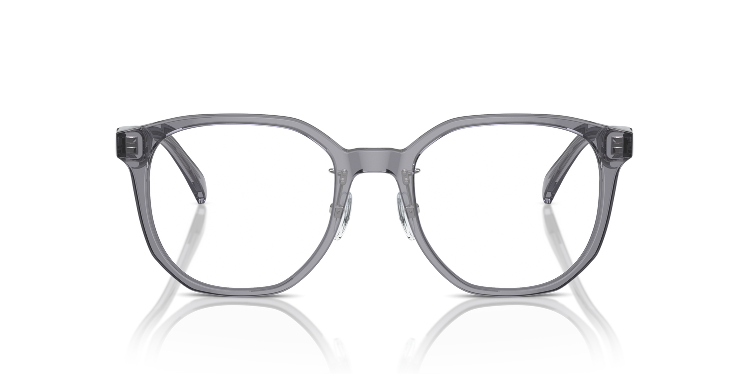 EMPORIO ARMANI EA3241D 5029 52