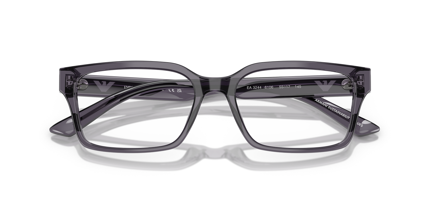 EMPORIO ARMANI EA3244 6106 55