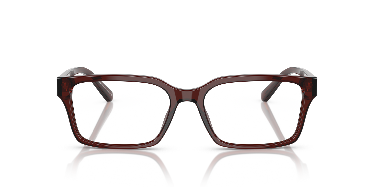 EMPORIO ARMANI EA3244 6174 55