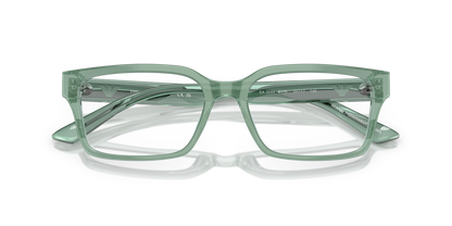 EMPORIO ARMANI EA3244 6176 55