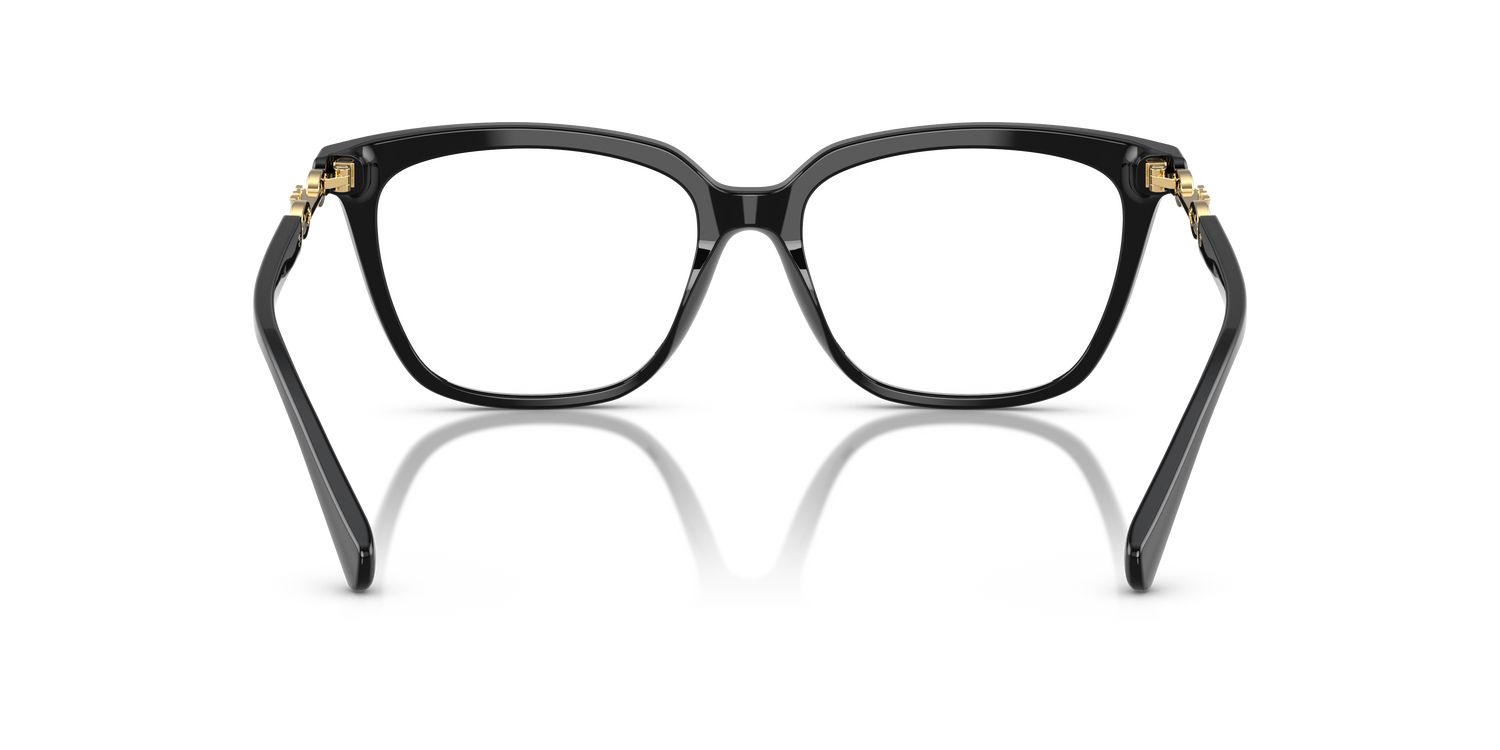 EMPORIO ARMANI EA3248 5017 55