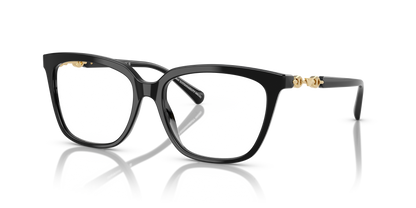 EMPORIO ARMANI EA3248 5017 53
