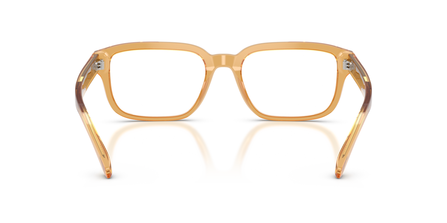 EMPORIO ARMANI EA3255 6246 55